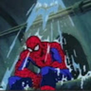 Meet your Posher, Alexander